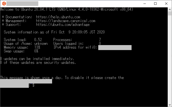 WSL Ubuntu20.04