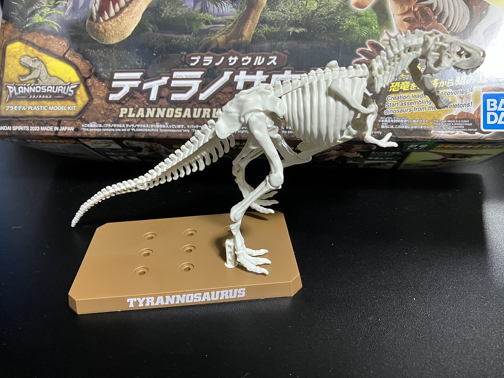 プラノサウルス骨格①