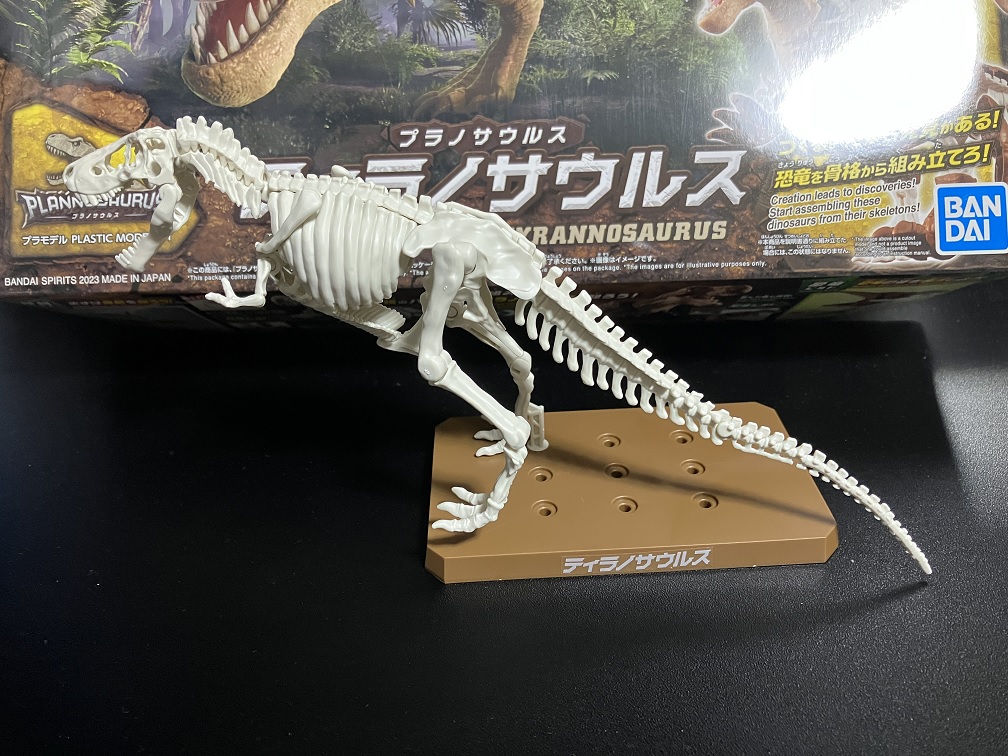 プラノサウルス骨格②